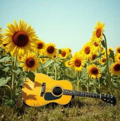 Youre my sweet sunshine